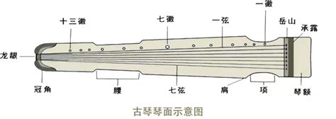 焦尾琴的得名源于制作者的名字吗 中国古代名琴焦尾琴得名源于什么_知秀网