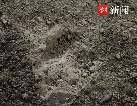 陨石坠落浙江，最大的3斤4两，有人1000元买“坑”！捡到后归国家还是个人？专家呼吁：不要水洗… | 每日经济网