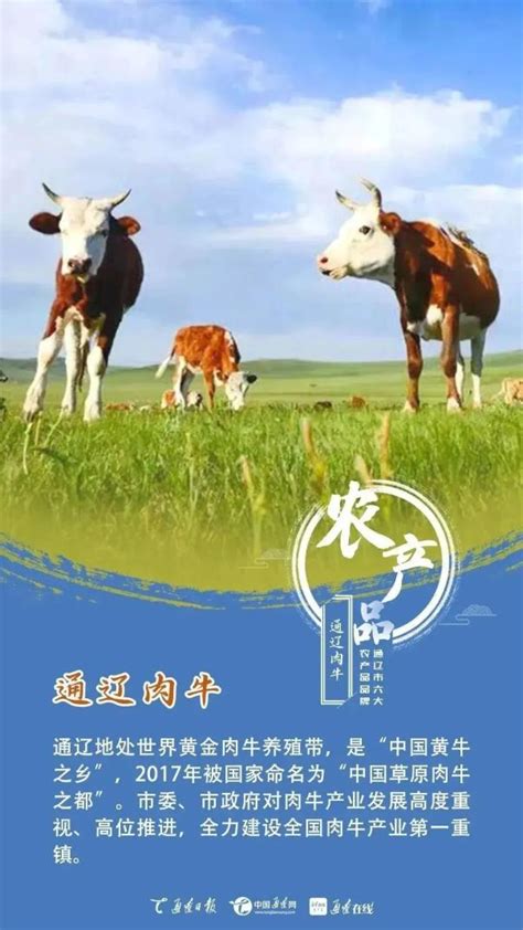 蒙牛20年：见证新时代中国奶业的全面振兴