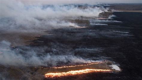 俄远东12处森林大火肆虐 - 2017年5月26日, 俄罗斯卫星通讯社