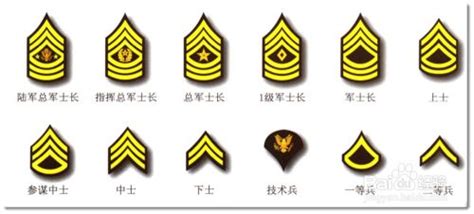 新中国军衔制度-中国军衔制度等级的排序及图片