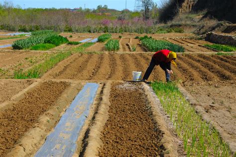 种菜专用土营养土种菜专用种菜土肥料种菜土壤蔬菜种土40斤包邮-淘宝网