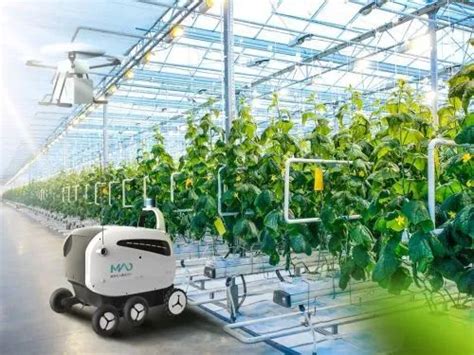 中科三安 UPLIFT 无人化垂直农业生产系统来了