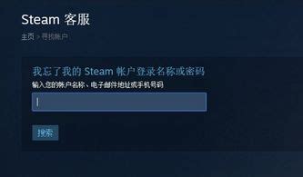 steam密码忘了怎么办 steam账号密码忘了怎么找回_Steam游戏_其他游戏_音速娱乐网