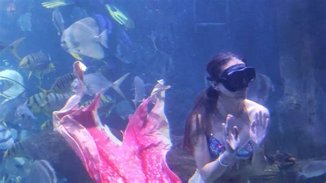实拍威海威高海洋馆美人鱼表演，精美绝伦，如梦如幻，是我看过的最美的美人鱼_腾讯视频