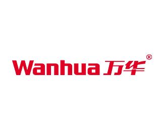 万华(Wanhua)标志Logo设计含义，品牌策划vi设计介绍