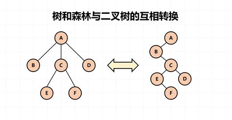 数据结构之树-树、二叉树、森林的相互转换-学习笔记-58 | Bliner