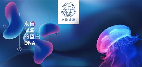 上海第三方电商仓储托管服务平台 来电咨询「安钢供」 - 水**B2B