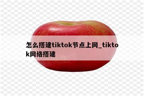 全业态跨境（TikTok）运营服务商-道甜跨境
