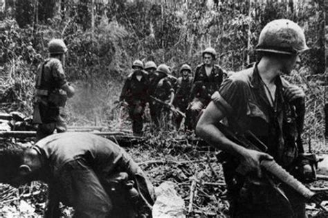 那些关于越南战争的残酷场面 张张足以让好战者动容|越南|战争的|好战者_新浪新闻