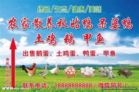 农家散养鸡鸭鹅设计图__海报设计_广告设计_设计图库_昵图网nipic.com