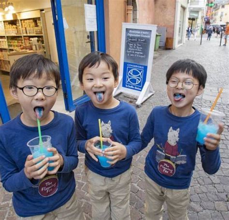 粤科网-全球唯一大熊猫三胞胎八岁啦！ 长隆将呈献“饕餮”科普庆生宴