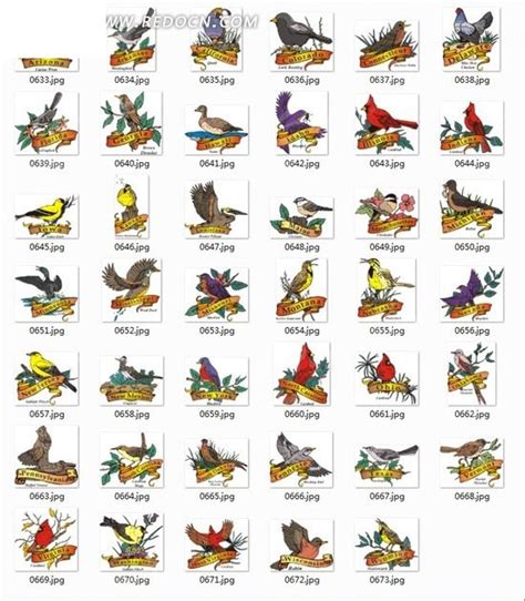鸟类插画合辑—各种各样的鸟和枝条EPS素材免费下载_红动中国