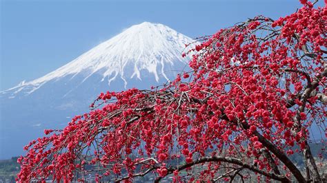 10 Best Japan Tourist Attractions 2020 - Japan Web Magazine