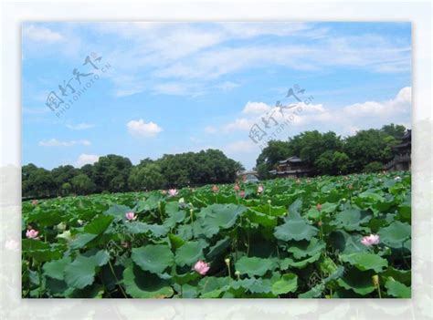 杭州西湖美景图片素材-编号11926780-图行天下
