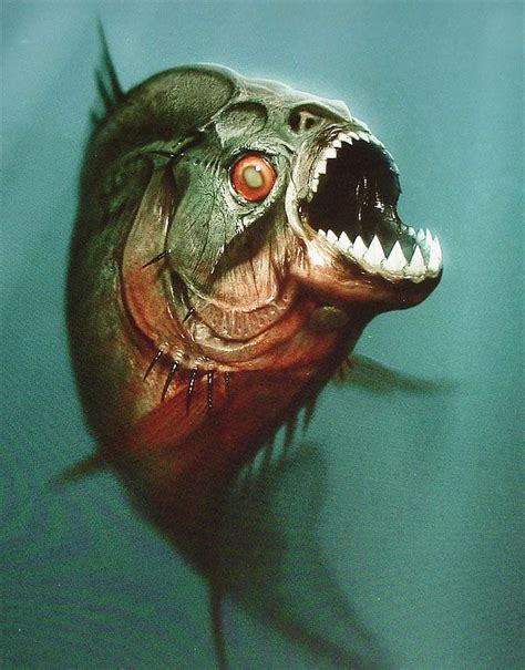 《食人鱼3D》-高清电影-在线观看