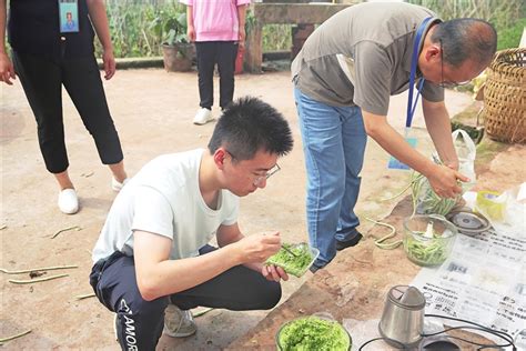 韭菜农药残留量太高不能吃？专家这样解释