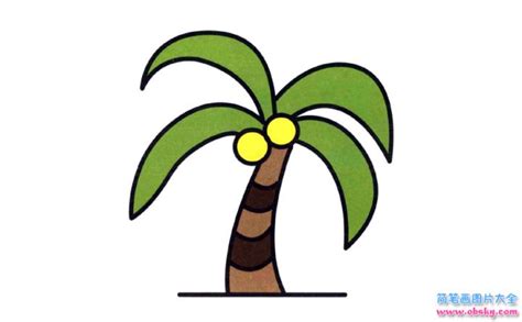 彩色椰子树简笔画画法_怎么画彩色椰子树的简笔画 - 简笔画大全 - 儿童简笔画图片大全