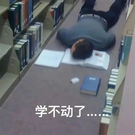 美女专用表情包图片