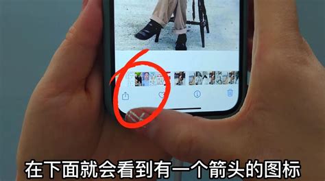 苹果手机照片导入u盘步骤（如何把照片大批量传到u盘教程） - 左启科技