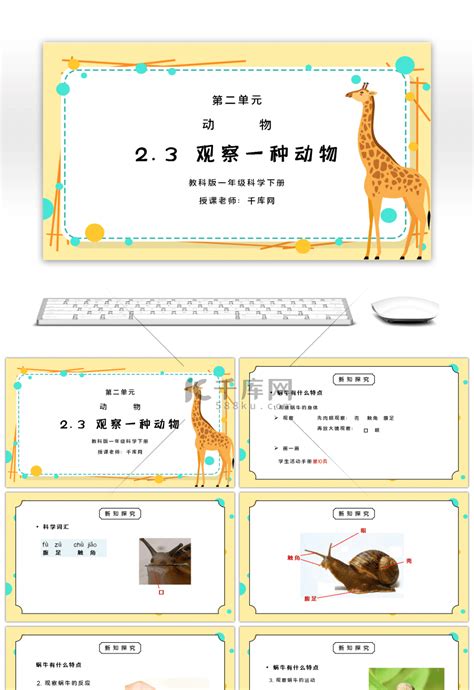 部编版二年级语文 看图写话写动物 课件-21世纪教育网