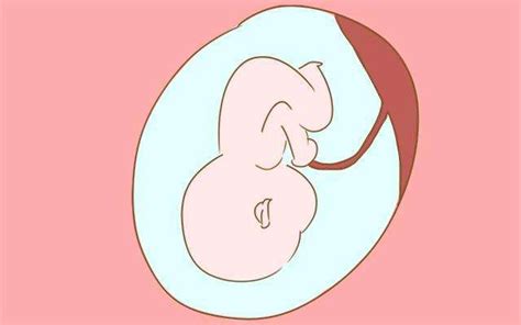 1～40周胎儿发育标准数值对照表(双顶径、腹围、股骨长)_家庭医生在线