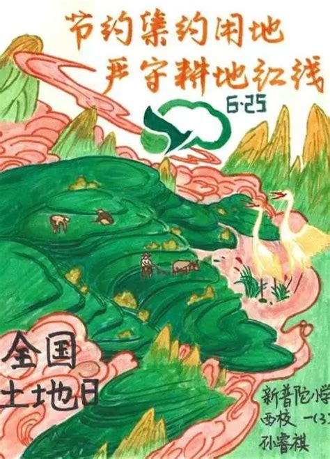 普陀区青少年“全国土地日”宣传海报部分优秀作品选_部门动态_规土局