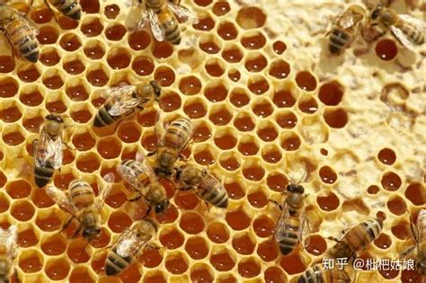 路边蜂农自称卖的是纯蜂蜜?蜂蜜检测结果是这样