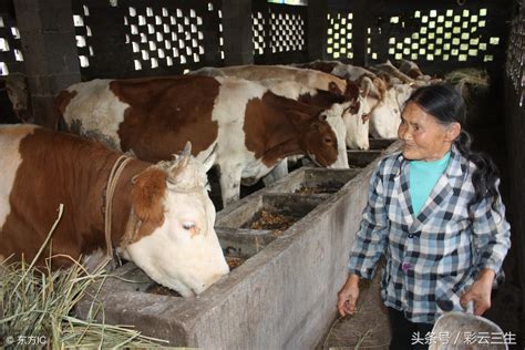 辉南县永成养牛场-安全可追溯农产品直供网