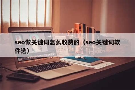 如何进行seo关键词（seo公司服务和收费方式有哪些）-8848SEO
