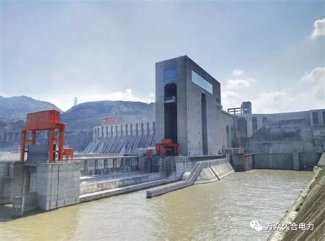 中国第三大水电站向家坝库区出现数十吨死鱼-新闻中心-温州网