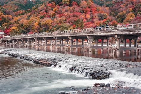 去了岚山，我终于明白为什么赏秋要来京都_凤凰网