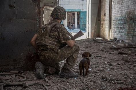 乌克兰宣布夺回赫尔松州两个定居点 - 军事 - 华网