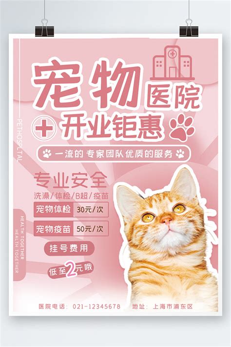宠物医院宠物店开业宣传海报粉色清新