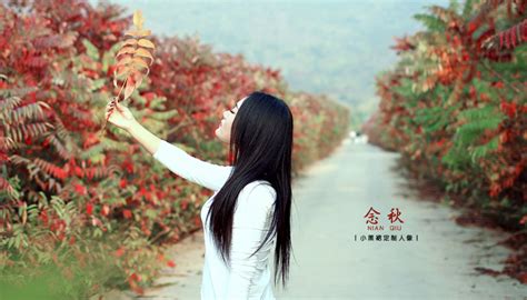 秋念图片