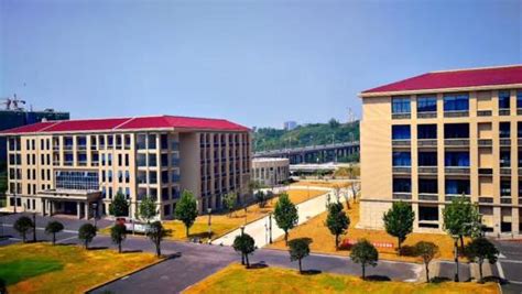 泸州职业技术学院最新单招要求及计划
