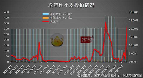 国际市场小麦涨价约60% 欧洲价格创下历史新高-搜狐大视野-搜狐新闻