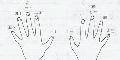 钢琴1234567指法图 可以用大拇指穿梭于其他四指的
