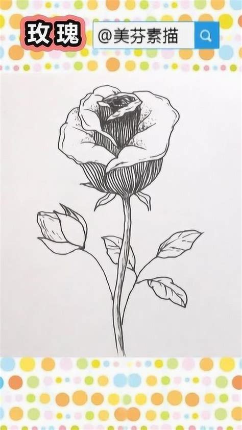 教你画一朵漂亮的玫瑰花！速写玫瑰花的画法步骤介绍！_腾讯视频