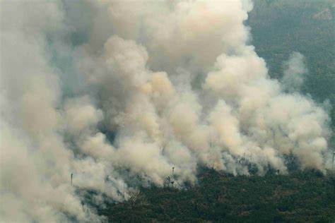 巴西亚马孙森林大火持续 消防员开展灭火工作 -渝北网