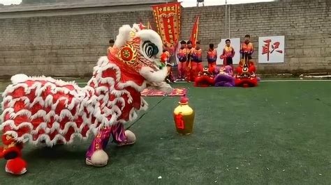 中国舞狮队图片下载 - 觅知网