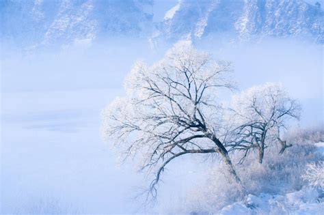 描写雪的古诗句 关于雪的诗句 有关雪的诗句