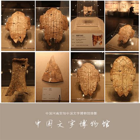 中国文字博物馆：一片甲骨惊天下，全球第一家以文字为主题的博物馆_发展史