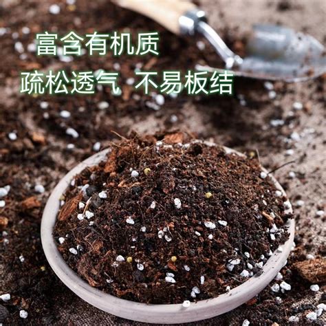 配方型泥炭土通用型营养土有机土种花种菜土-淘宝网