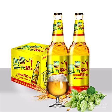 玻璃瓶500毫升啤酒批发 饭店箱装普通黄啤酒供应 山东济南 凯尼亚-食品商务网