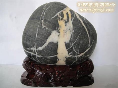 重庆奇石完全可以成为后起之秀 - 华夏奇石网 - 洛阳市赏石协会官方网站