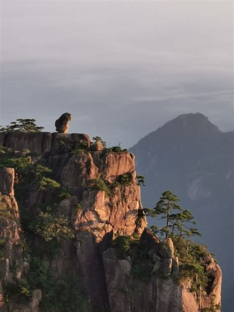 黄山奇石猴子观海图片