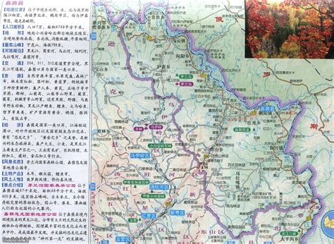 伊春区地图 - 伊春区卫星地图 - 伊春区高清航拍地图 - 便民查询网地图