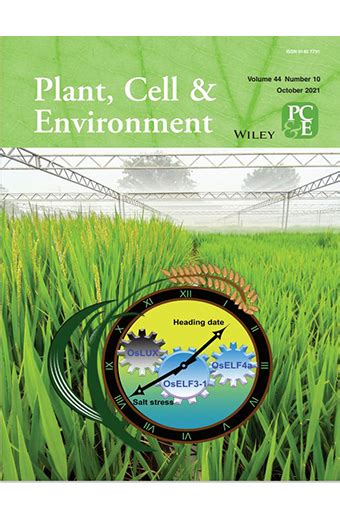 Environmental Science Nano 期刊封面|其他|其他|西西智研科研绘图 - 原创作品 - 站酷 (ZCOOL)