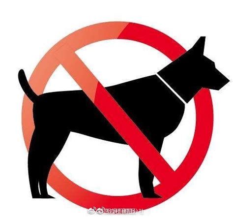 关于襄阳市个人禁养犬只种类的通告